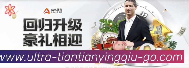 天天盈球体育直播服务体系